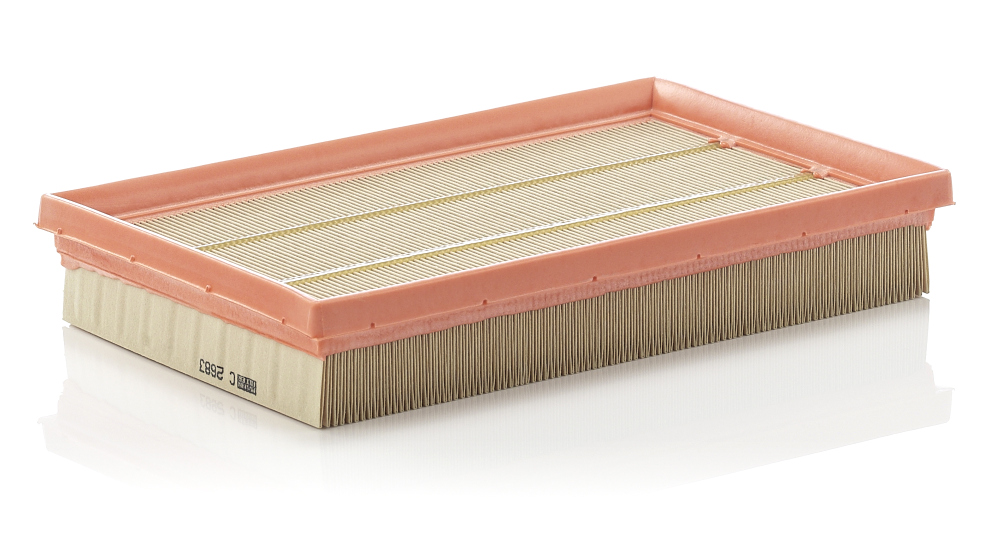 Filtro aria - C 2683 MANN-FILTER