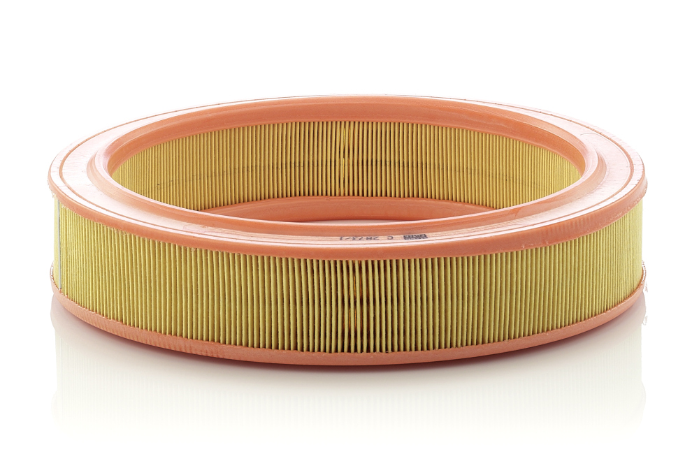 Filtro aria - C 2873/1 MANN-FILTER