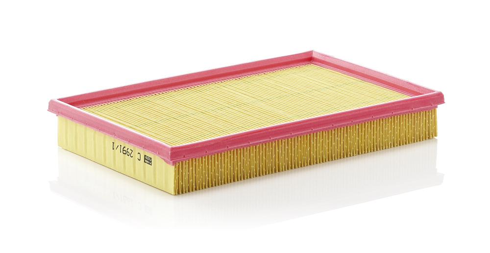 Filtro aria - C 2991/1 MANN-FILTER