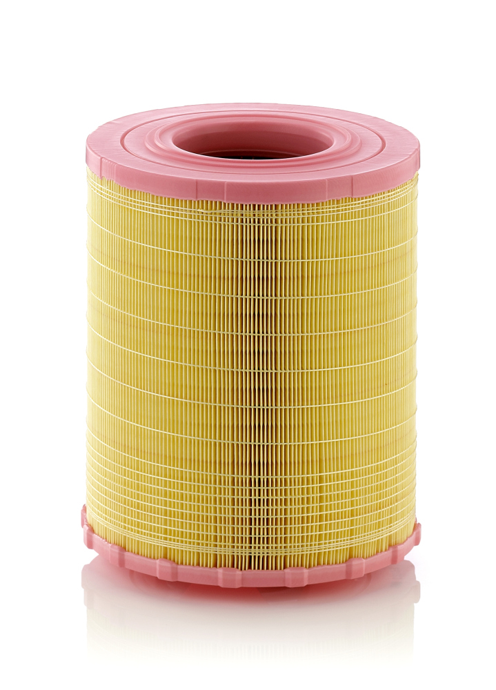 Filtro aria - C 29 010 MANN-FILTER