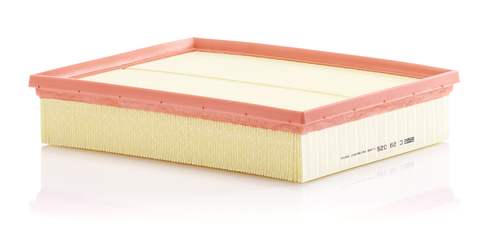 Luftfilter - C 29 029 MANN-FILTER
