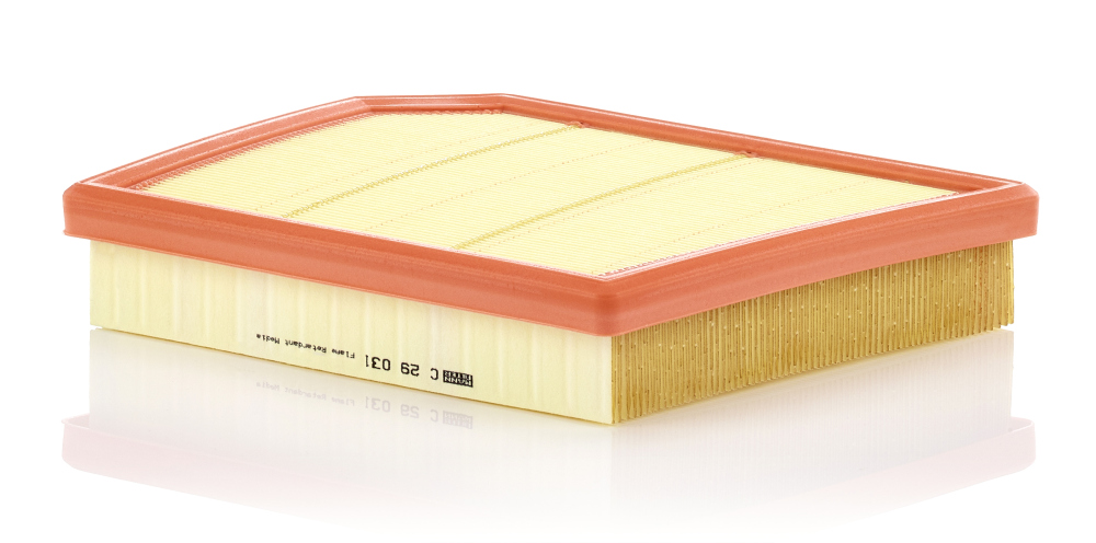 Air Filter - C 29 031 MANN-FILTER