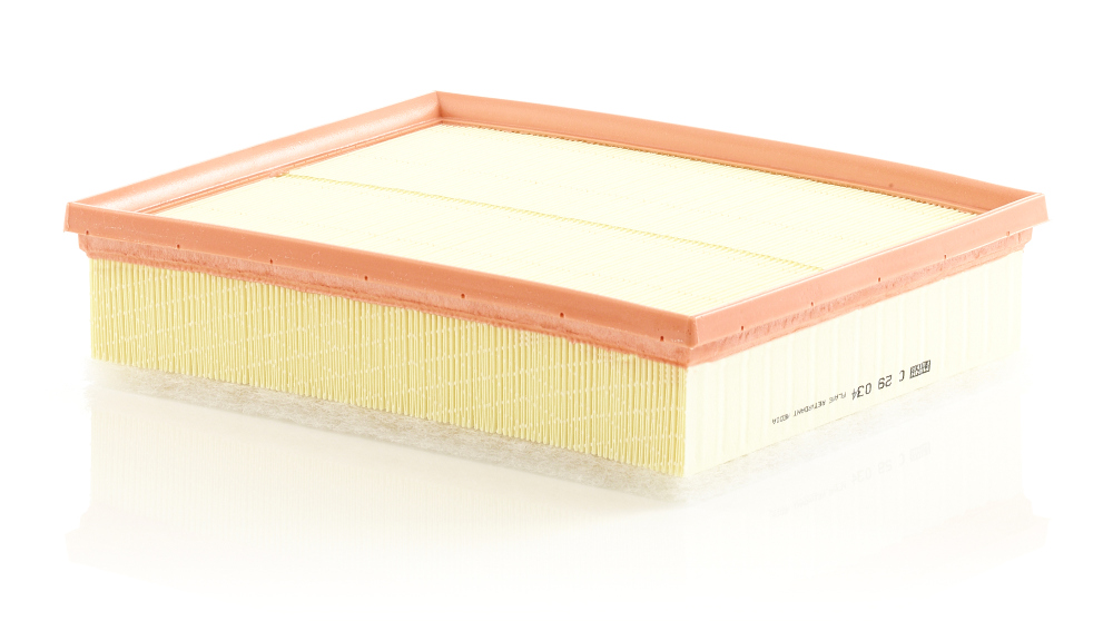 Luftfilter - C 29 034 MANN-FILTER