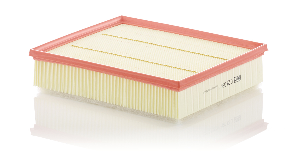 Filtro aria - C 29 036 MANN-FILTER