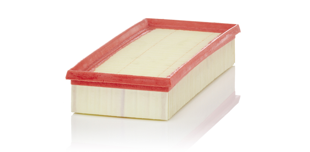 Air Filter - C 29 048 MANN-FILTER