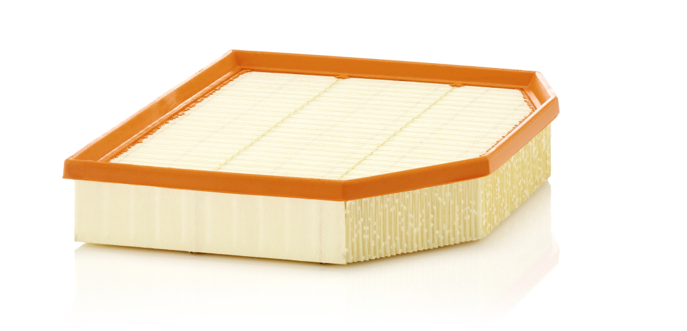 Air Filter - C 29 132 MANN-FILTER