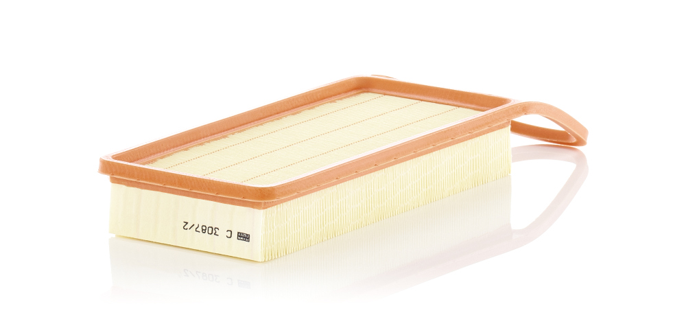 Filtro aria - C 3087/2 MANN-FILTER