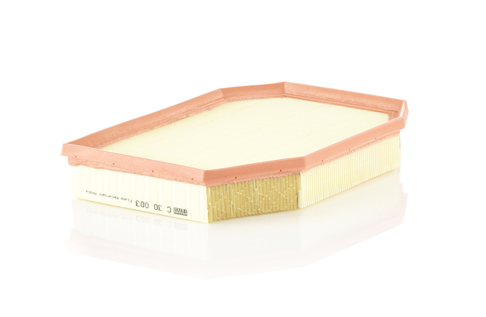 Air Filter - C 30 003 MANN-FILTER