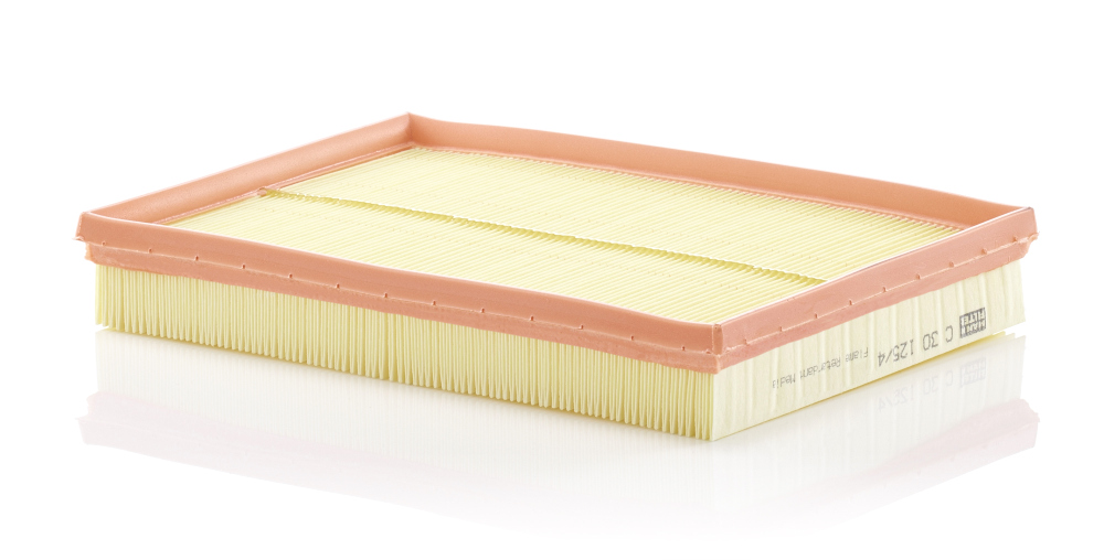 Air Filter - C 30 125/4 MANN-FILTER