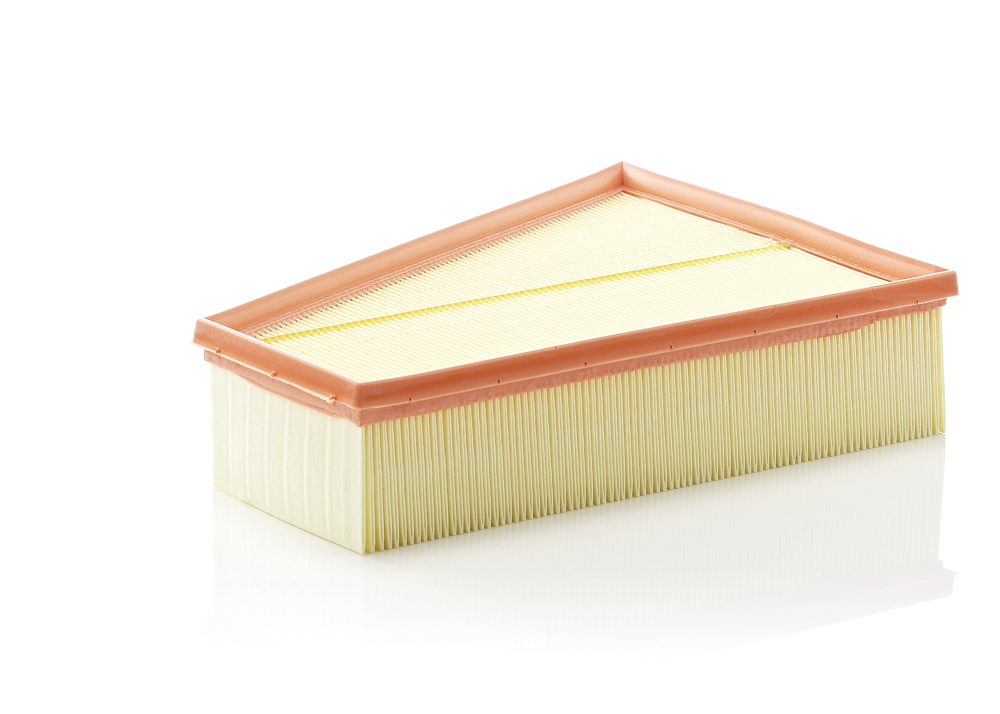 Air Filter - C 30 161 MANN-FILTER