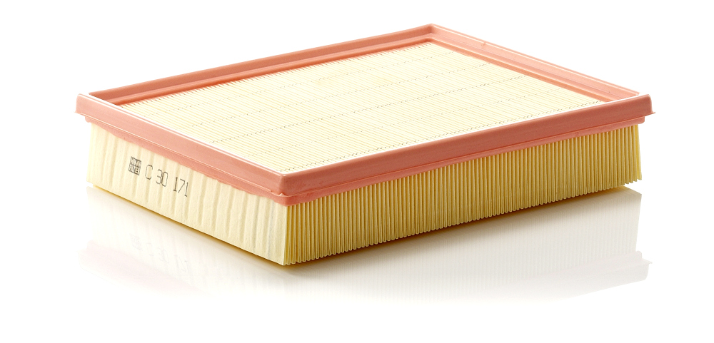 Air Filter - C 30 171 MANN-FILTER