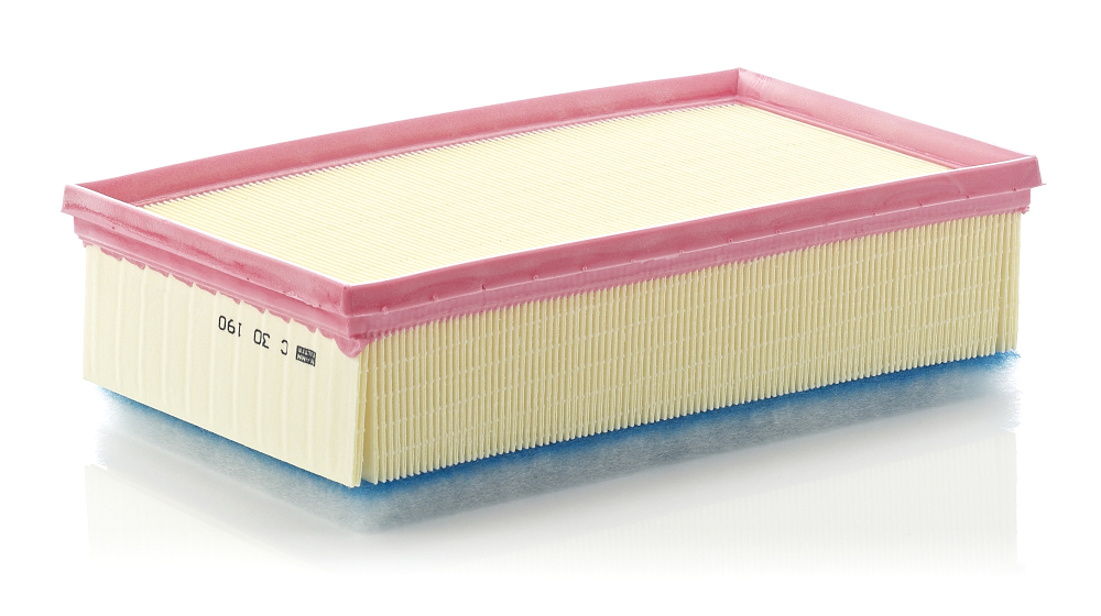 Filtro aria - C 30 190 MANN-FILTER