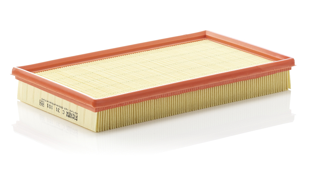 Air Filter - C 31 101 MANN-FILTER