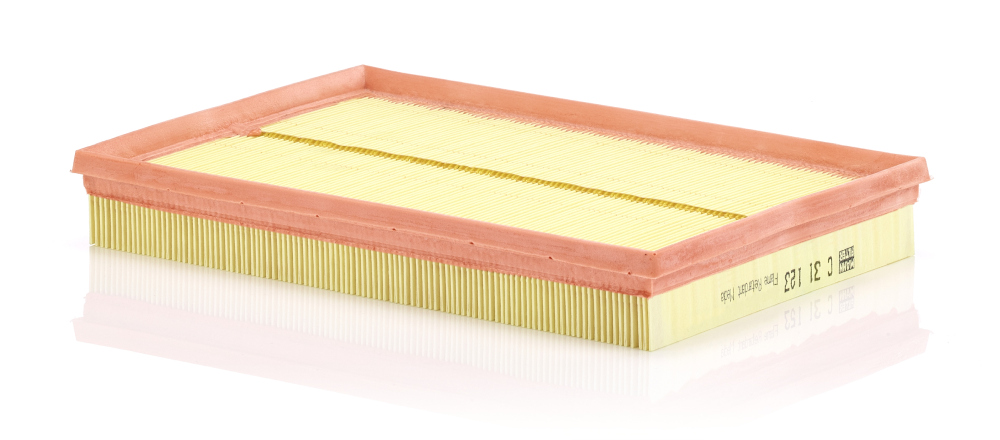 Filtro aria - C 31 123 MANN-FILTER