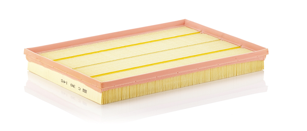 Air Filter - C 36 145 MANN-FILTER