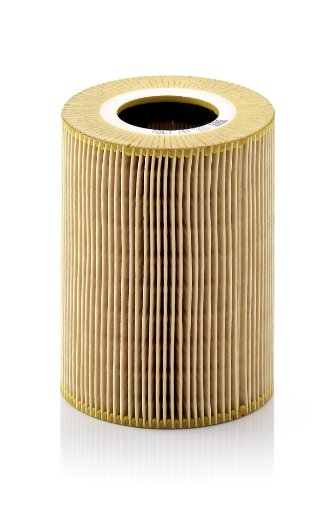 alyvos filtras - HU 1381 X MANN-FILTER