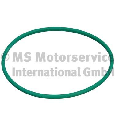 Seal, fuel tank cap - 3.32038.01.0 PIERBURG