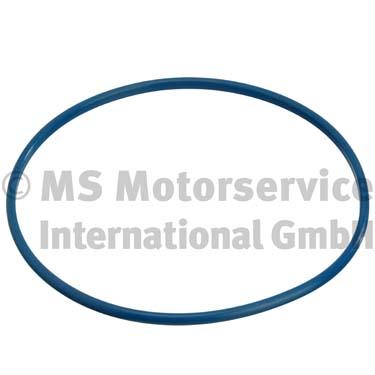 Seal, fuel tank cap - 3.32038.04.0 PIERBURG