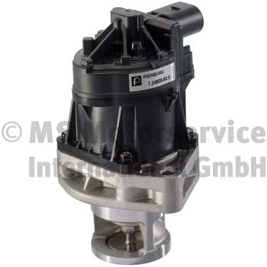 EGR Valve - 7.24809.80.0 PIERBURG