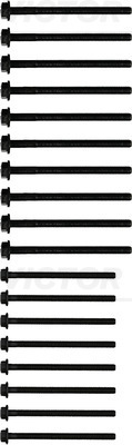 Bolt Kit, cylinder head - 14-32341-01 VICTOR REINZ