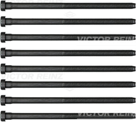 Bolt Kit, cylinder head - 14-32384-02 VICTOR REINZ