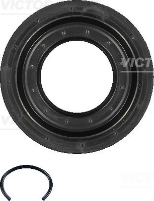 Shaft Seal, differential - 15-31193-01 VICTOR REINZ