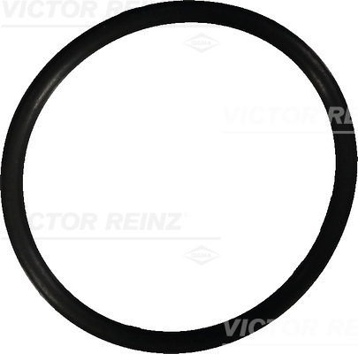 Seal Ring - 40-76022-10 VICTOR REINZ