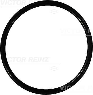 Anello di tenuta - 40-76125-00 VICTOR REINZ