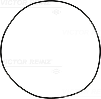 Seal Ring - 40-76910-10 VICTOR REINZ