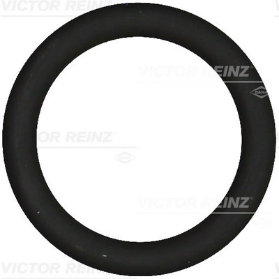 Guarnizione, Collettore aspirazione - 40-76919-00 VICTOR REINZ