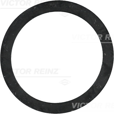 Anello di tenuta - 40-77243-00 VICTOR REINZ