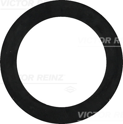 Anello di tenuta - 40-77322-00 VICTOR REINZ