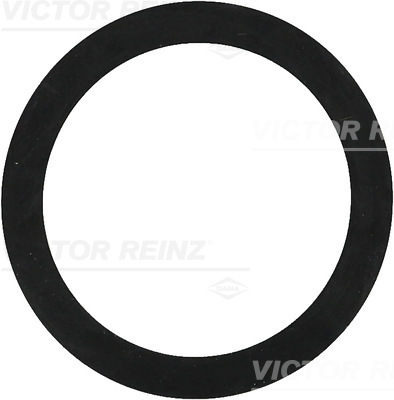 Anello di tenuta - 40-77392-00 VICTOR REINZ