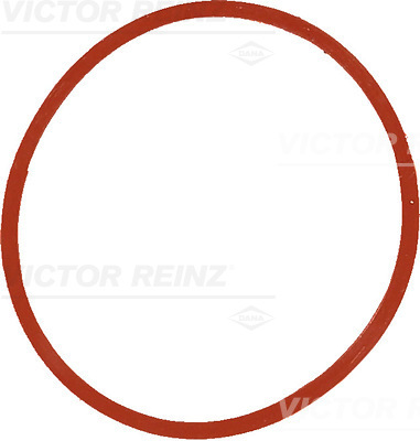 Guarnizione, Collettore aspirazione - 40-77534-00 VICTOR REINZ