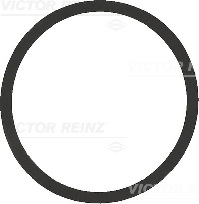 tarpiklis, įsiurbimo kolektorius - 40-77542-00 VICTOR REINZ
