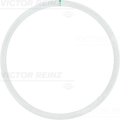 Guarnizione, Testata - 61-25315-10 VICTOR REINZ