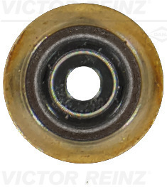 Seal Ring, valve stem - 70-19255-00 VICTOR REINZ