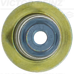 Seal Ring, valve stem - 70-54206-00 VICTOR REINZ