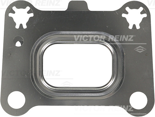 tarpiklis, išleidimo kolektorius - 71-11025-00 VICTOR REINZ