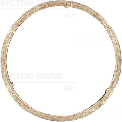 tarpiklis, išleidimo kolektorius - 71-11399-00 VICTOR REINZ