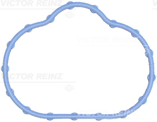 Guarnizione, Collettore aspirazione - 71-17497-00 VICTOR REINZ