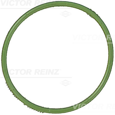 Guarnizione, Collettore aspirazione - 71-18338-00 VICTOR REINZ