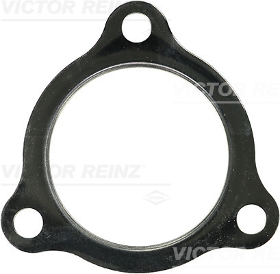 Guarnizione, Tubo gas scarico - 71-25112-00 VICTOR REINZ