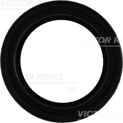 Gasket, cylinder head cover - 71-27159-00 VICTOR REINZ