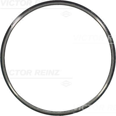 Ring Gear, crankshaft - 71-31304-00 VICTOR REINZ