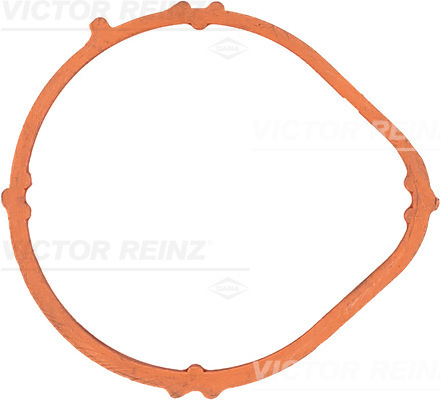 Guarnizione, Collettore aspirazione - 71-35381-00 VICTOR REINZ