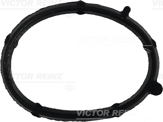 Guarnizione, Collettore aspirazione - 71-35681-00 VICTOR REINZ