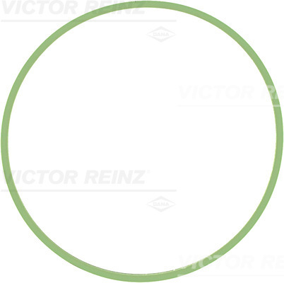Guarnizione, Alloggiam. collettore aspirazione - 71-37631-00 VICTOR REINZ