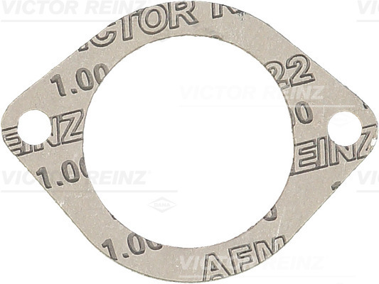 Guarnizione, Alloggiam. collettore aspirazione - 71-38304-00 VICTOR REINZ