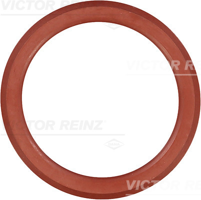 tarpiklis, svirties dangtis - 71-38552-00 VICTOR REINZ